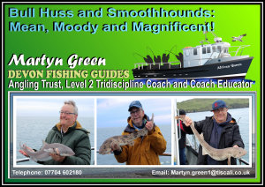 Link to Video - Bull Huss and Smoothhounds