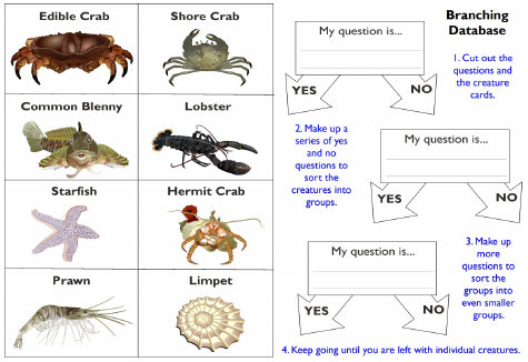 A4 Downloadable Free Resources in support of my Lenny the Lobster children's books.