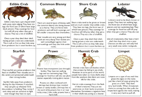 A4 Downloadable Free Resources in support of my Lenny the Lobster children's books.