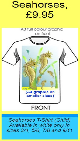 Sample Child's T-Shirt