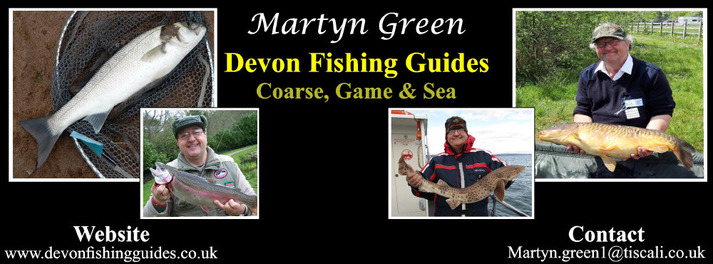 Devon Fishing Guides - 07704 602180 - Page Header and Logo